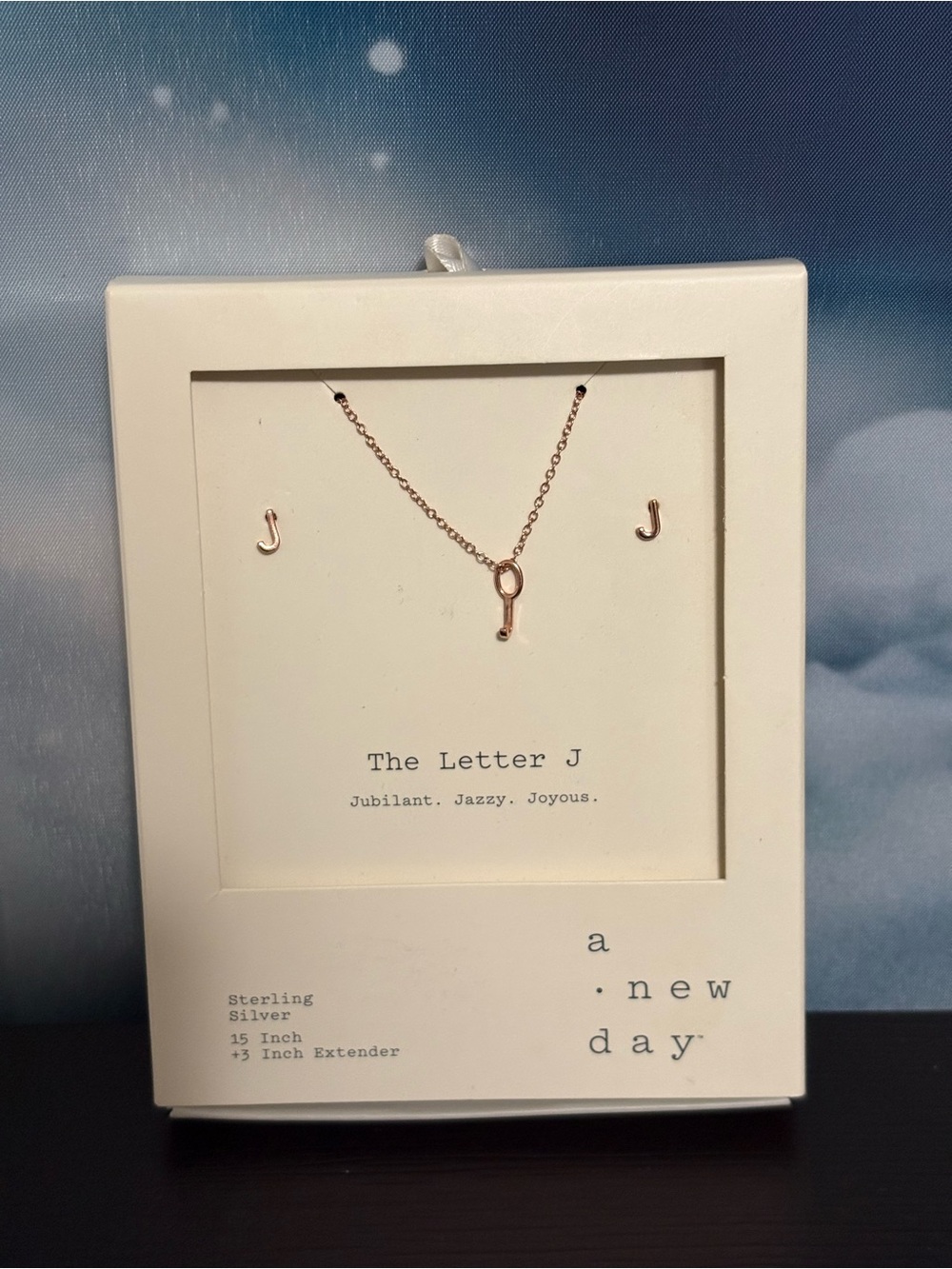 A New Day Sterling Silver rose gold tone Letter initial necklace & earrings NIB